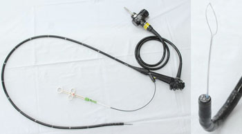 대장내시경 기구