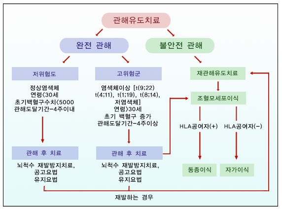 관해유도치료, 완전관해, 불안전 관해, 저위험도 정상염색체 연령<30세최기백혈구수치<5000 관해도달기간-4주이내, 고위험군 염색체이상 [t(9;22), t(4;11), t(1;19), t(8;14), 저염색체] 연령 > 30세  초기 백혈구 증가 관해도달기간-4주이상, 재관해유도치료, 조혈모세포이식, HLA공여자(+), HLS공여자(-), 관해 후 치료 뇌척수 재발방지치료, 공공요법, 유지요법,  관해 후 치료 죄척수 재발방지치료, 공고요법, 유지요법, 동종이식, 지가이식, 재발하는 경우